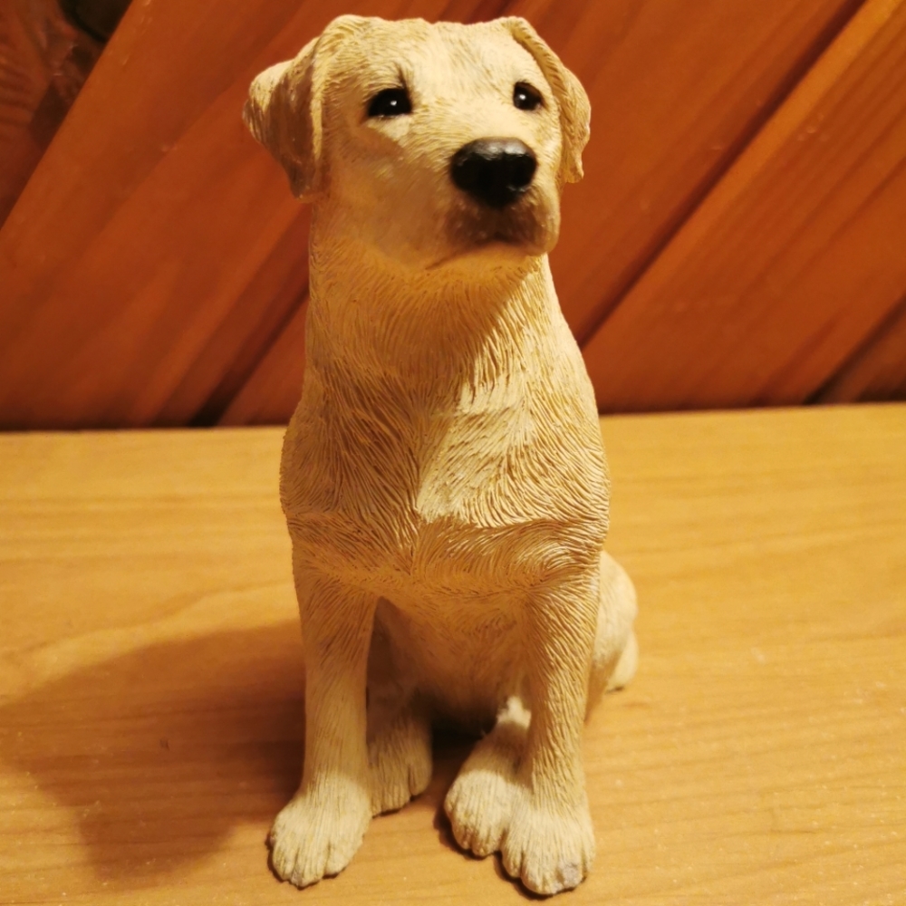 Sandicast Labrador Retriever Dog